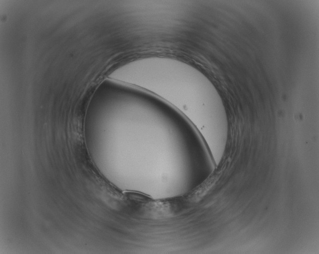 X0000074340421200608251355