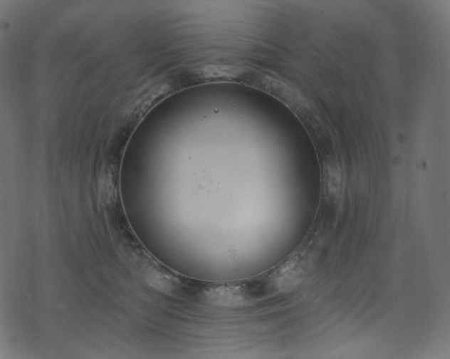 X0000074340422200608251355