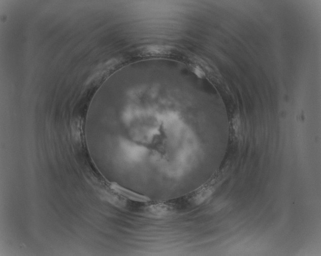 X0000074340423200608251355