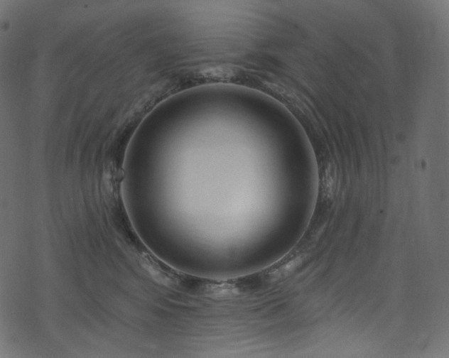 X0000074340424200608251355