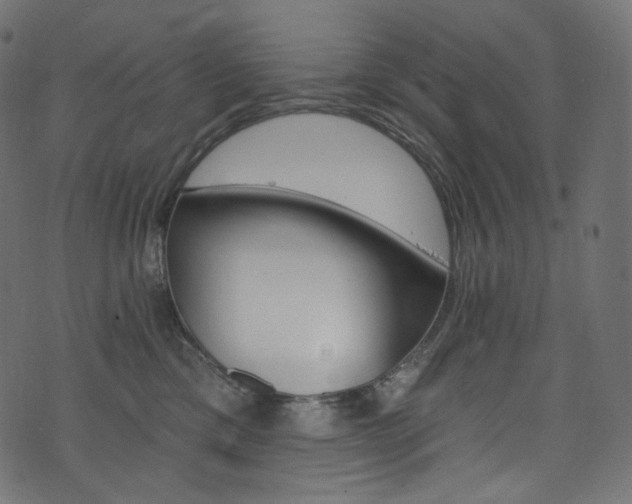 X0000074340425200608251355