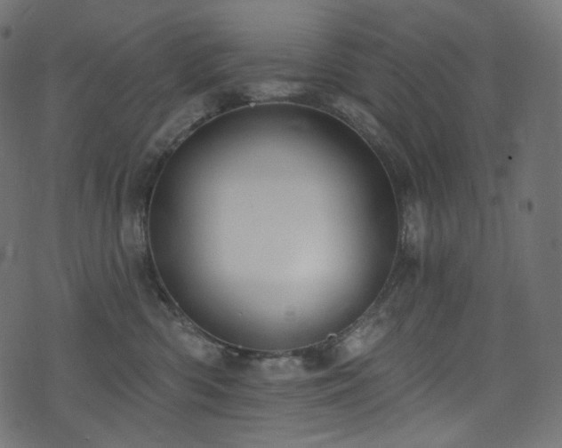 X0000074340426200608251355