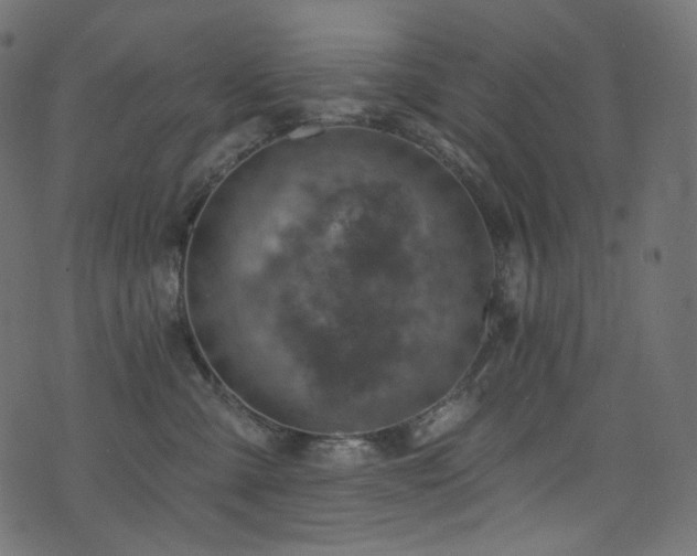 X0000074340427200608251355