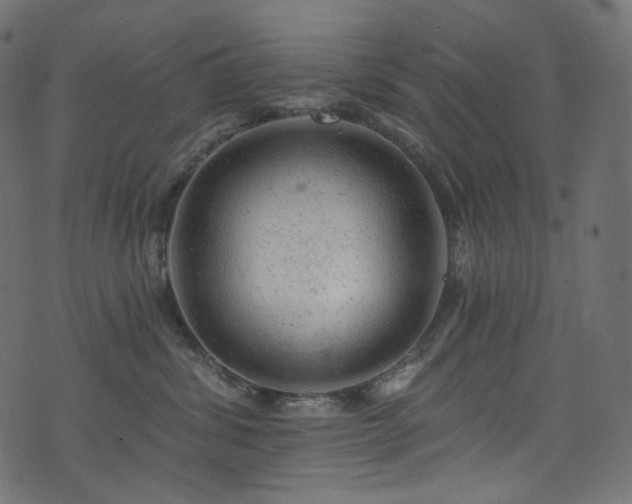 X0000074340428200608251355