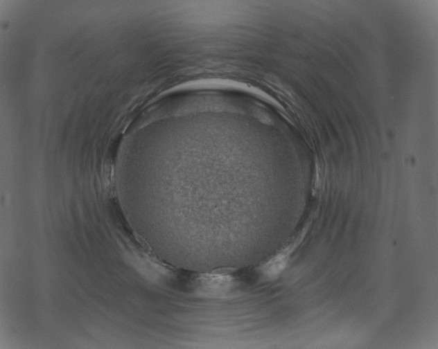 X0000074340429200608251355