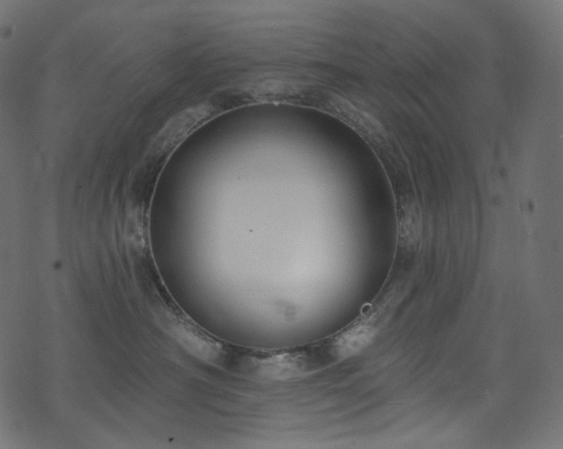 X0000074340430200608251355