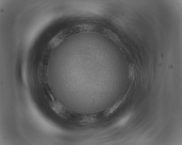 X0000074340431200608251355