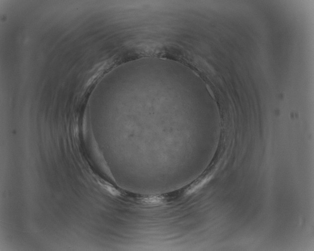 X0000074340432200608251355