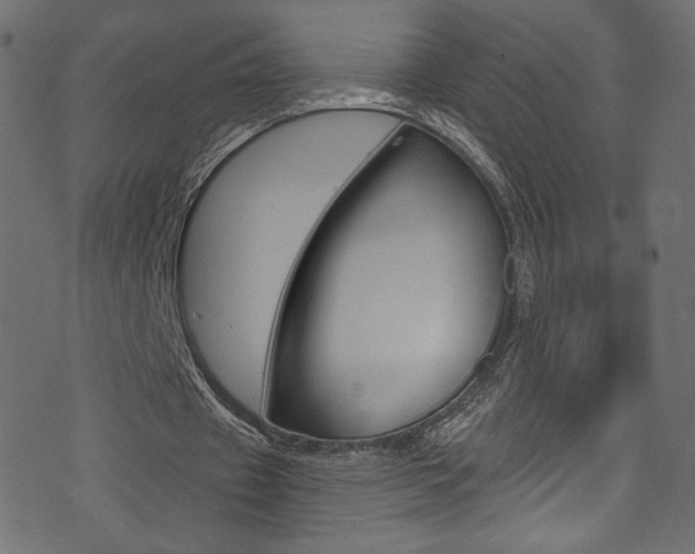 X0000074340433200608251355