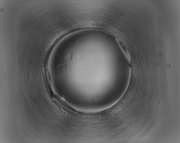 X0000074340434200608251355