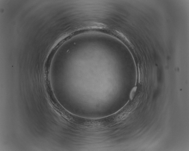 X0000074340435200608251355