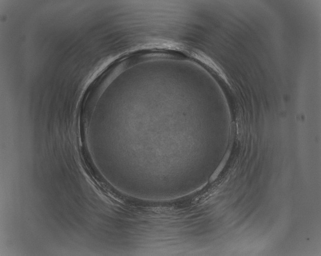 X0000074340436200608251355