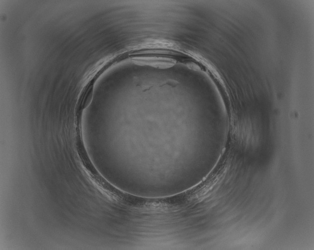 X0000074340437200608251355