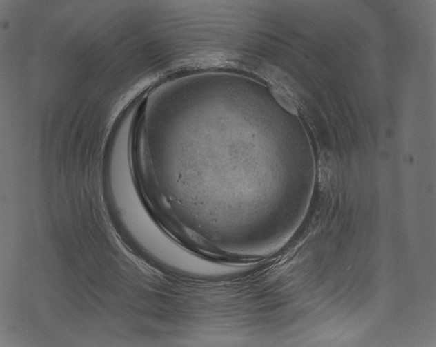 X0000074340438200608251355