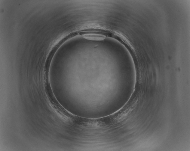 X0000074340439200608251355