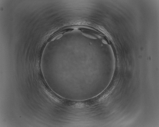 X0000074340441200608251355