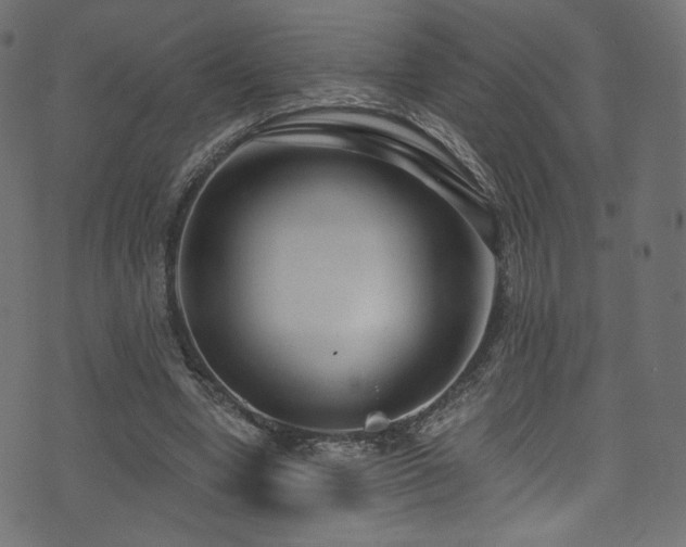 X0000074340442200608251355