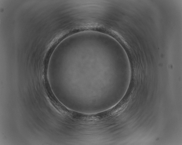 X0000074340443200608251355