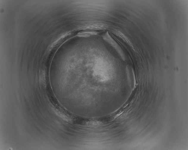 X0000074340444200608251355