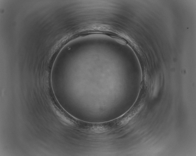 X0000074340445200608251355