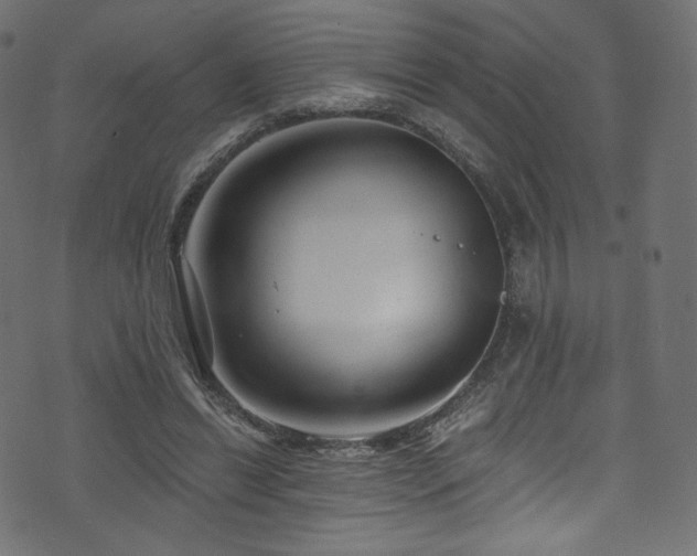 X0000074340446200608251355