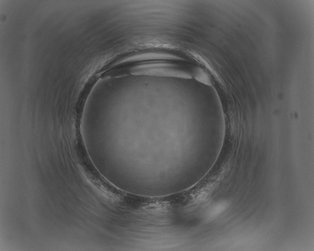 X0000074340447200608251355