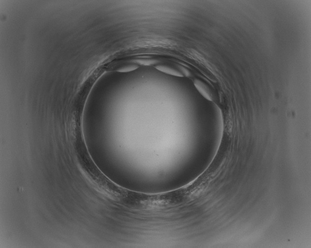 X0000074340448200608251355