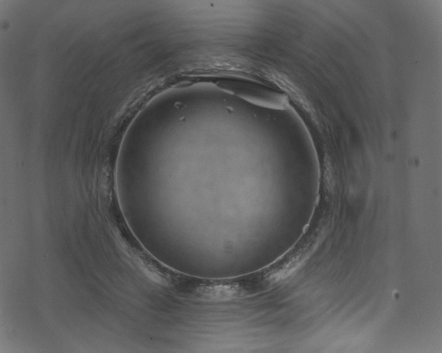 X0000074340449200608251355