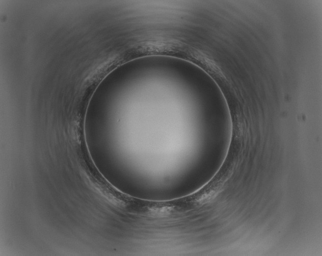 X0000074340450200608251355