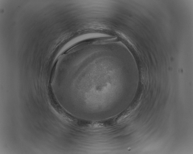 X0000074340451200608251355