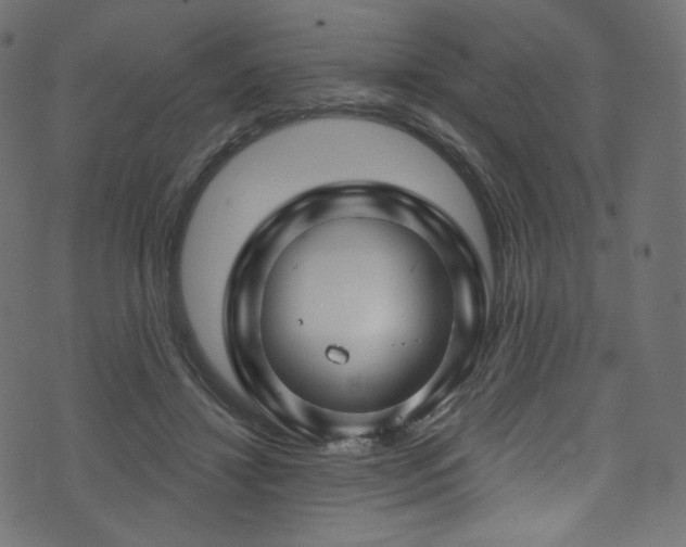 X0000074340452200608251355