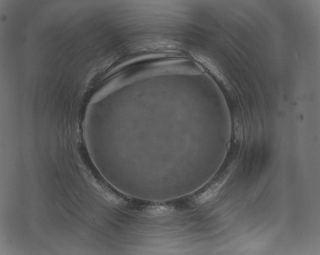 X0000074340453200608251355