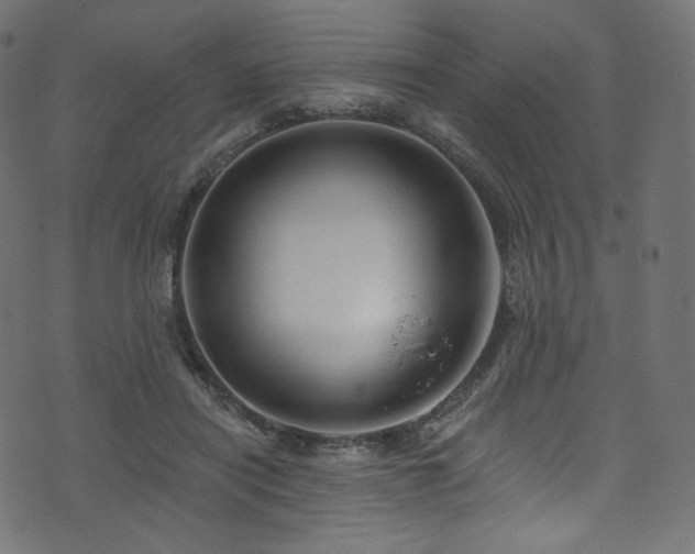 X0000074340454200608251355