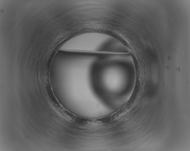 X0000074340455200608251355