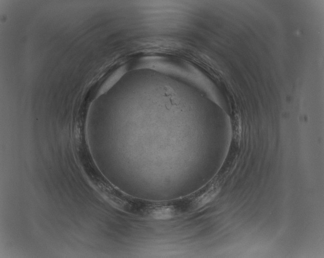 X0000074340456200608251355