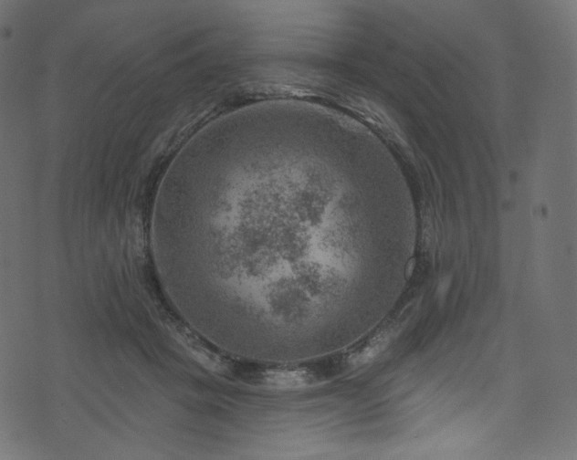 X0000074340457200608251355