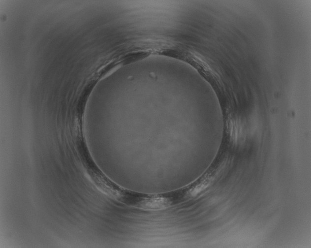 X0000074340459200608251355