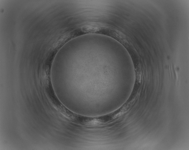 X0000074340460200608251355