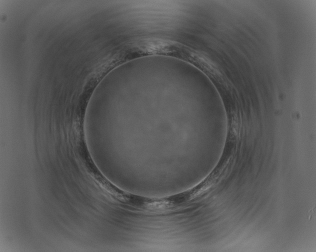 X0000074340461200608251355