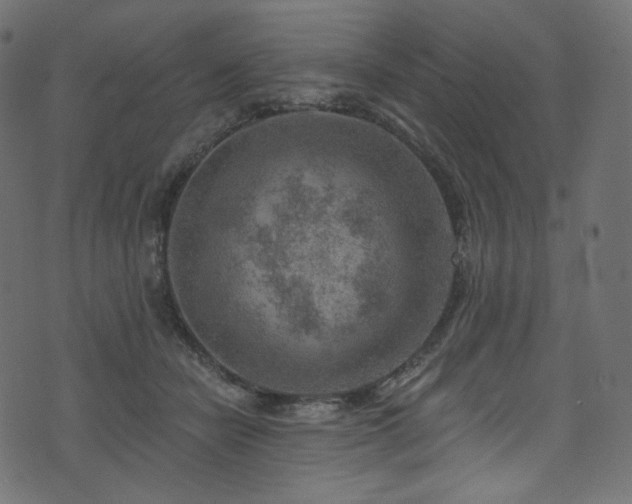 X0000074340462200608251355