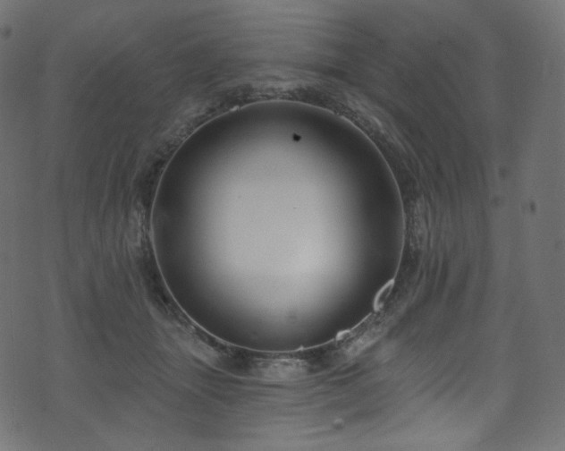 X0000074340463200608251355