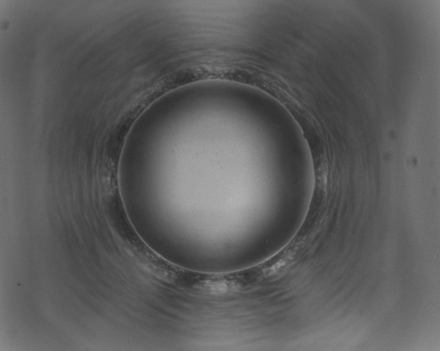 X0000074340464200608251355