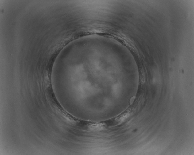 X0000074340465200608251355