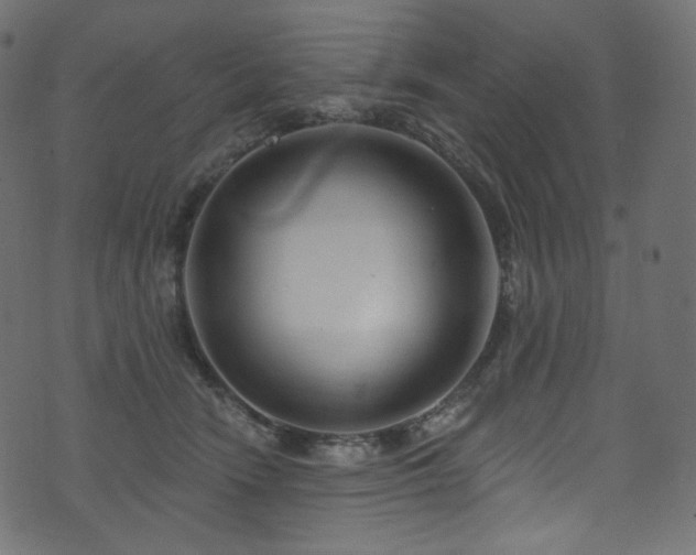 X0000074340466200608251355