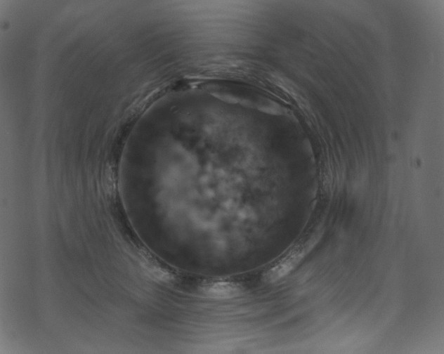 X0000074340467200608251355