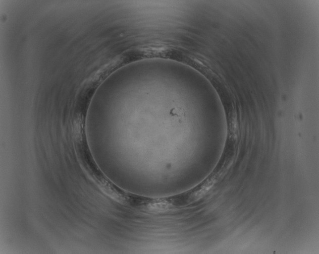 X0000074340468200608251355