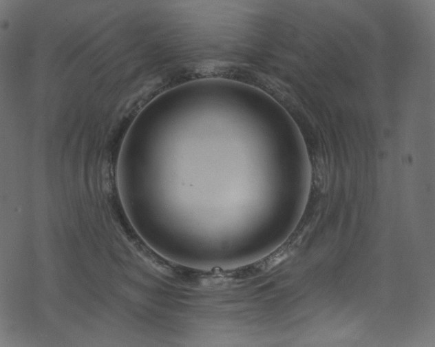 X0000074340470200608251355