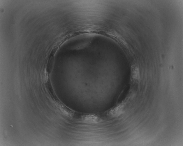 X0000074340471200608251355