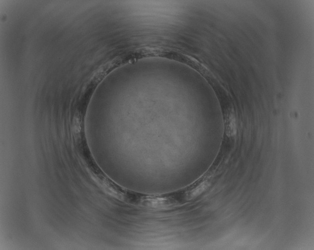 X0000074340472200608251355