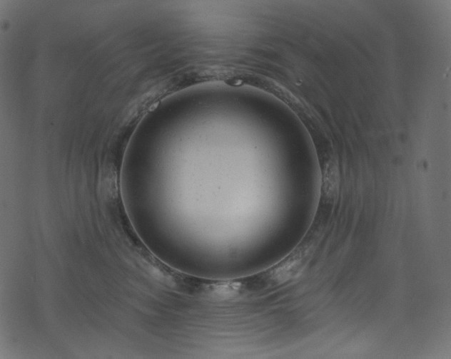 X0000074340474200608251355